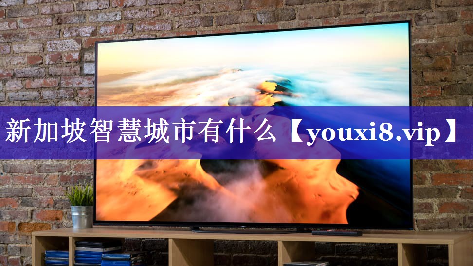 新加坡智慧城市有什么