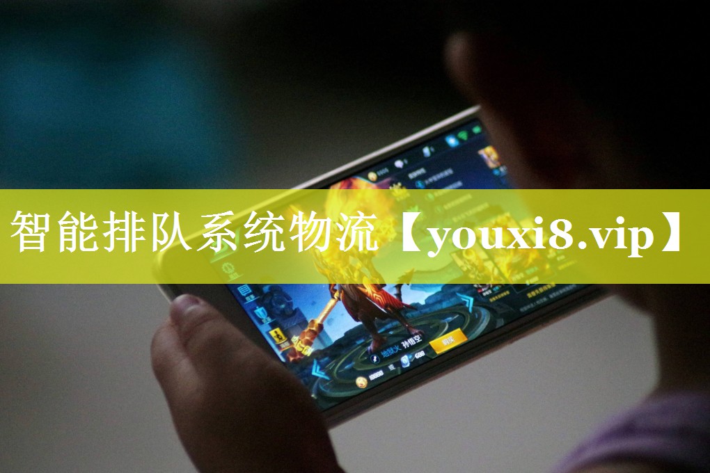 智能排队系统物流