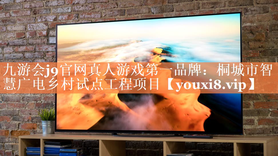九游会j9官网真人游戏第一品牌：桐城市智慧广电乡村试点工程项目