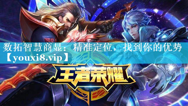 数拓智慧商显：精准定位，找到你的优势
