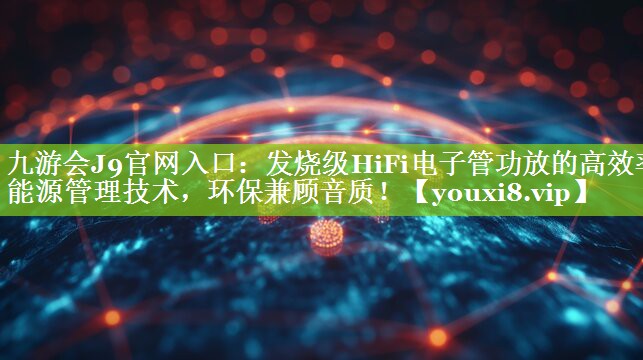 发烧级HiFi电子管功放的高效率能源管理技术，环保兼顾音质！