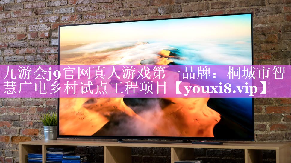 桐城市智慧广电乡村试点工程项目